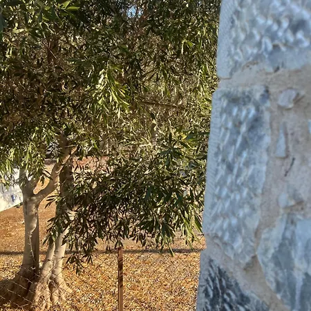 Anemoessa Stone House *