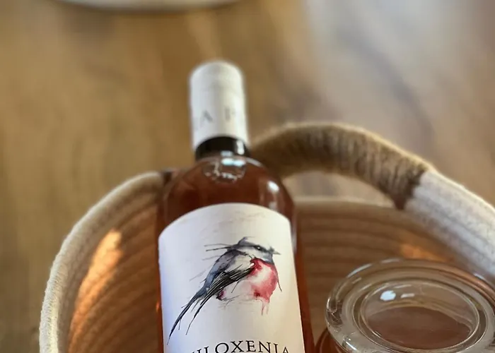 Anemoessa Stone House *