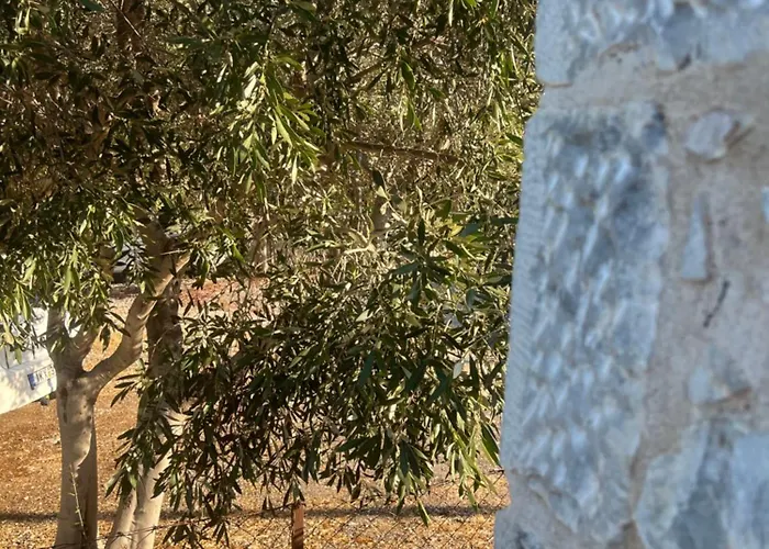 Anemoessa Stone House *